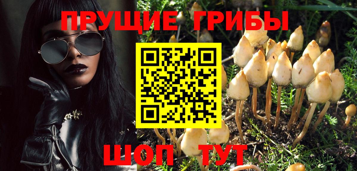 Ликино-Дулёво  Псилоцибиновые грибы Psilocybine cubensis  Вход с VPN  Псилоцибиновые грибы мухоморы 