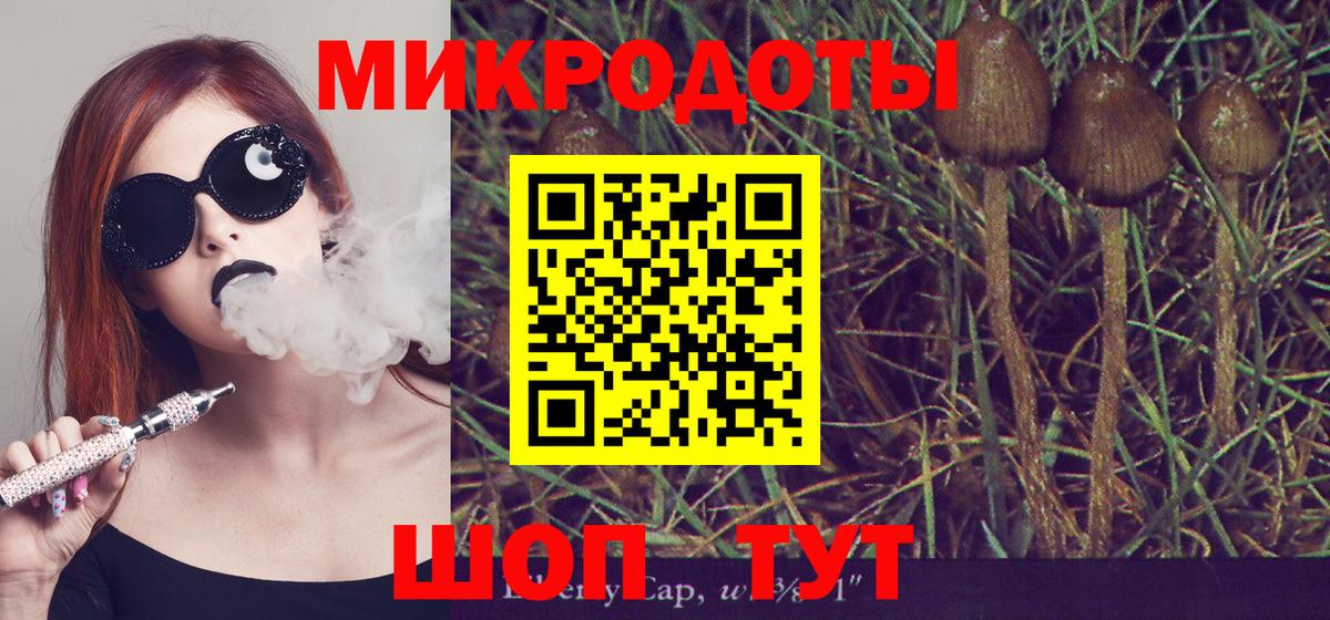 Галлюциногенные грибы мухоморы Ликино-Дулёво